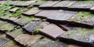 Great Bourton roof repair costs